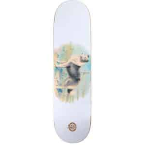 Passport 8.125" Hybrid Vigour COLLIE Deck